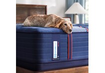 albany ii firm tt mattress cal king   