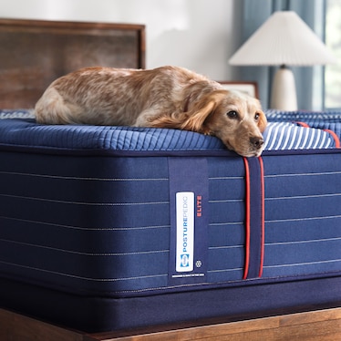 SEALY ALBANY II FIRM TIGHTTOP MATTRESS