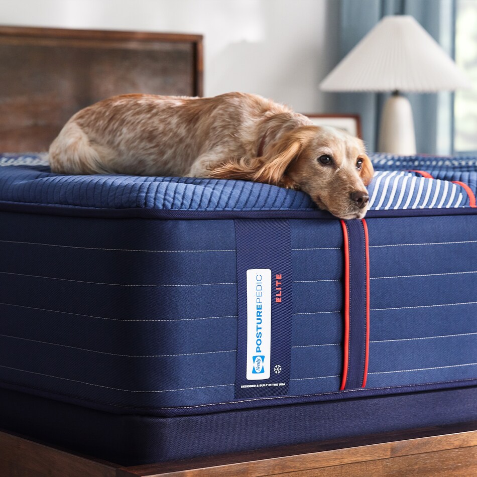 albany ii firm tt mattress full   
