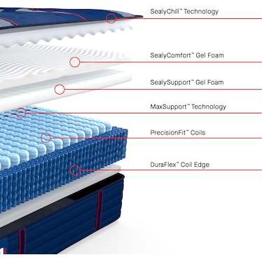 SEALY ALBANY II FIRM TIGHTTOP MATTRESS