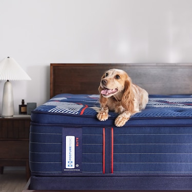 SEALY ALBANY II SOFT EURO PILLOWTOP MATTRESS