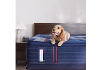 albany ii soft ept mattress king   