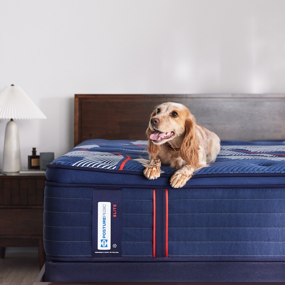 albany ii soft ept mattress queen   