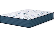 anniversary  firm white mattress twin   