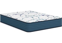 anniversary  firm white mattress twin   