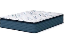 anniversary  plush pt white mattress queen   
