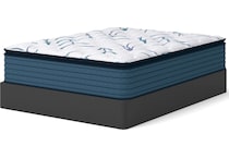 anniversary  plush pt white mattress queen   