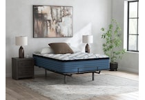 anniversary  plush pt white mattress queen   