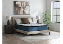 anniversary  plush pt white mattress twin   