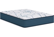 anniversary  plush white mattress queen   