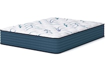 anniversary  plush white mattress queen   