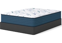 anniversary  plush white mattress queen   