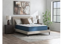 anniversary  plush white mattress queen   