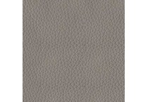 ash swatch  