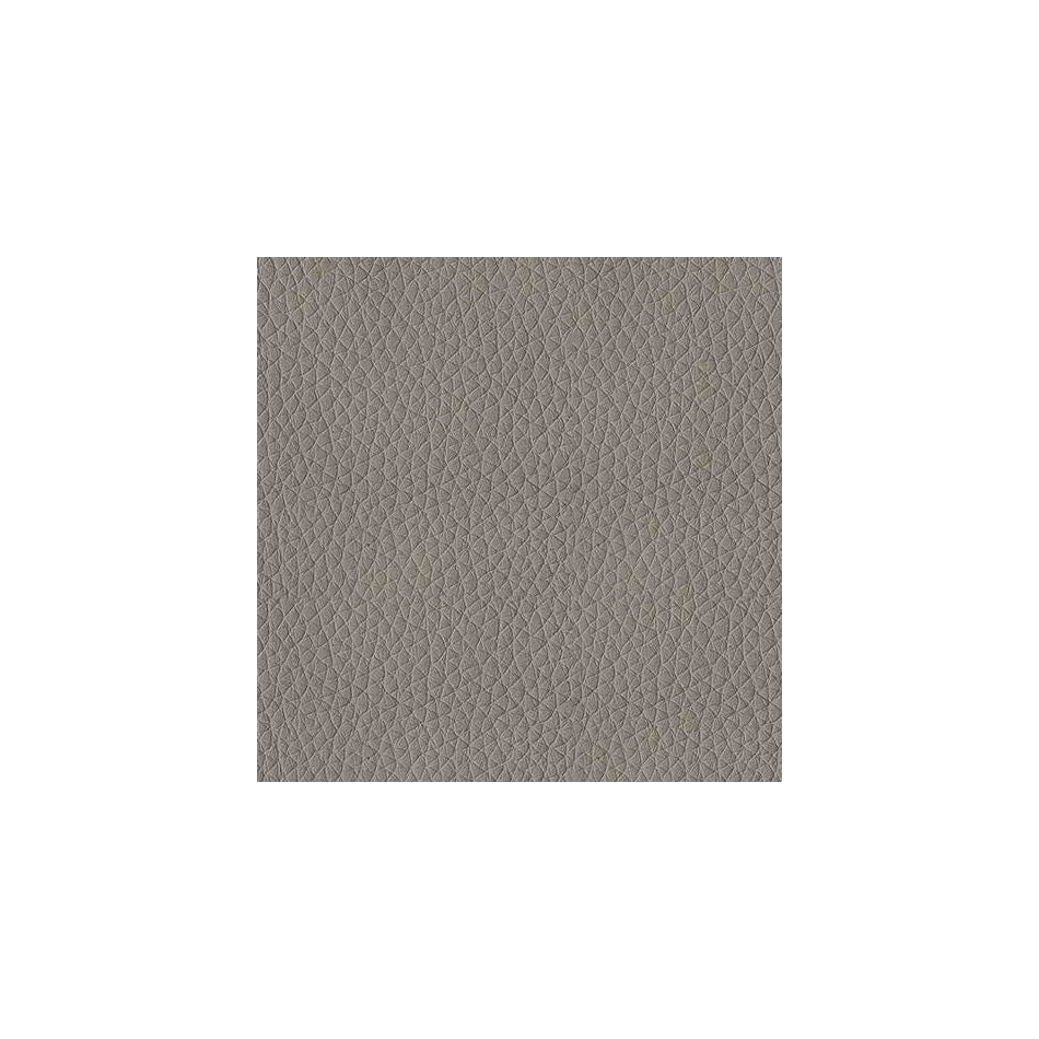 ash swatch  