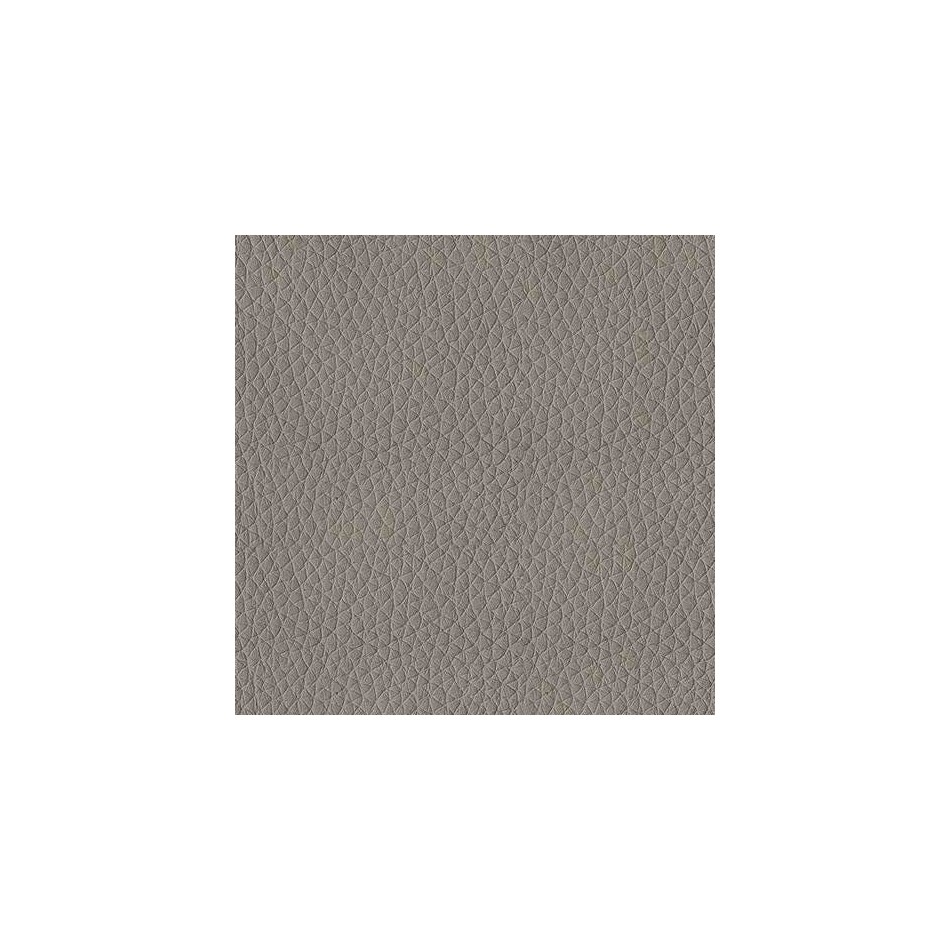 ash swatch  