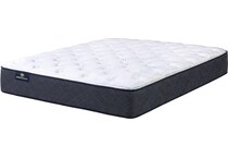 astounding night plush mattress queen   