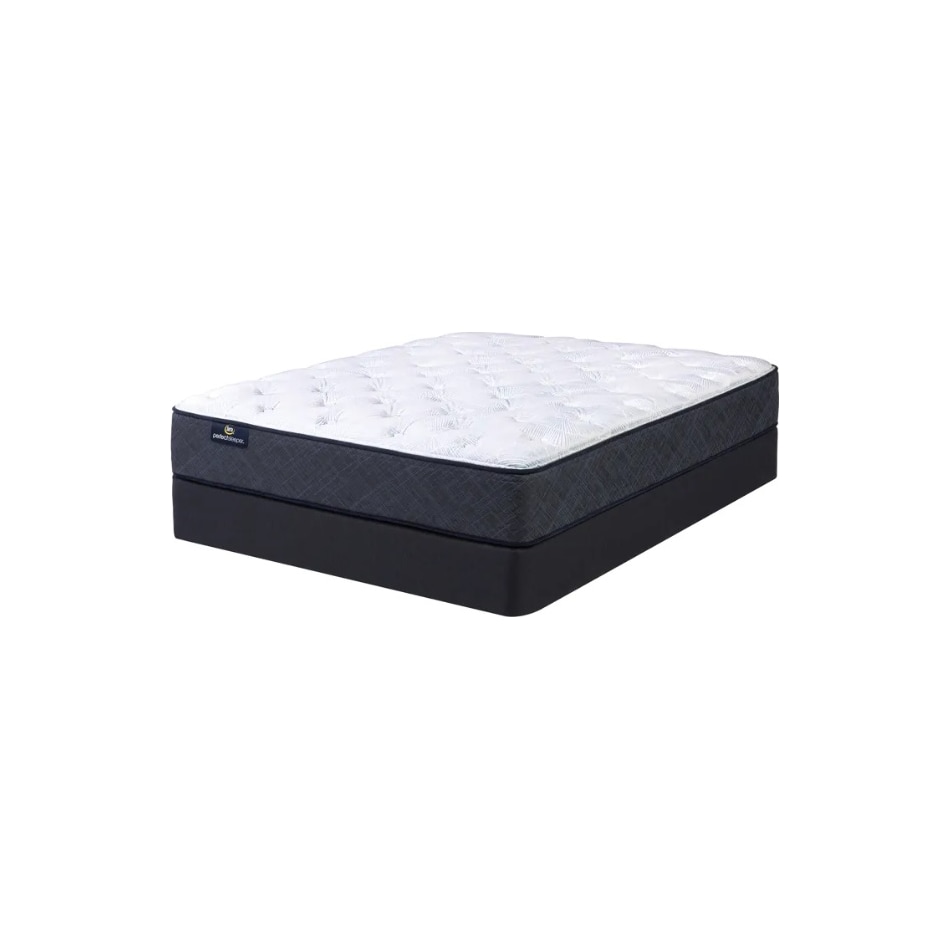 astounding night plush mattress twin xl   