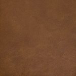 autumn swatch  