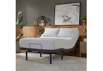 baselogic platinum level  adjustable base twin xl   