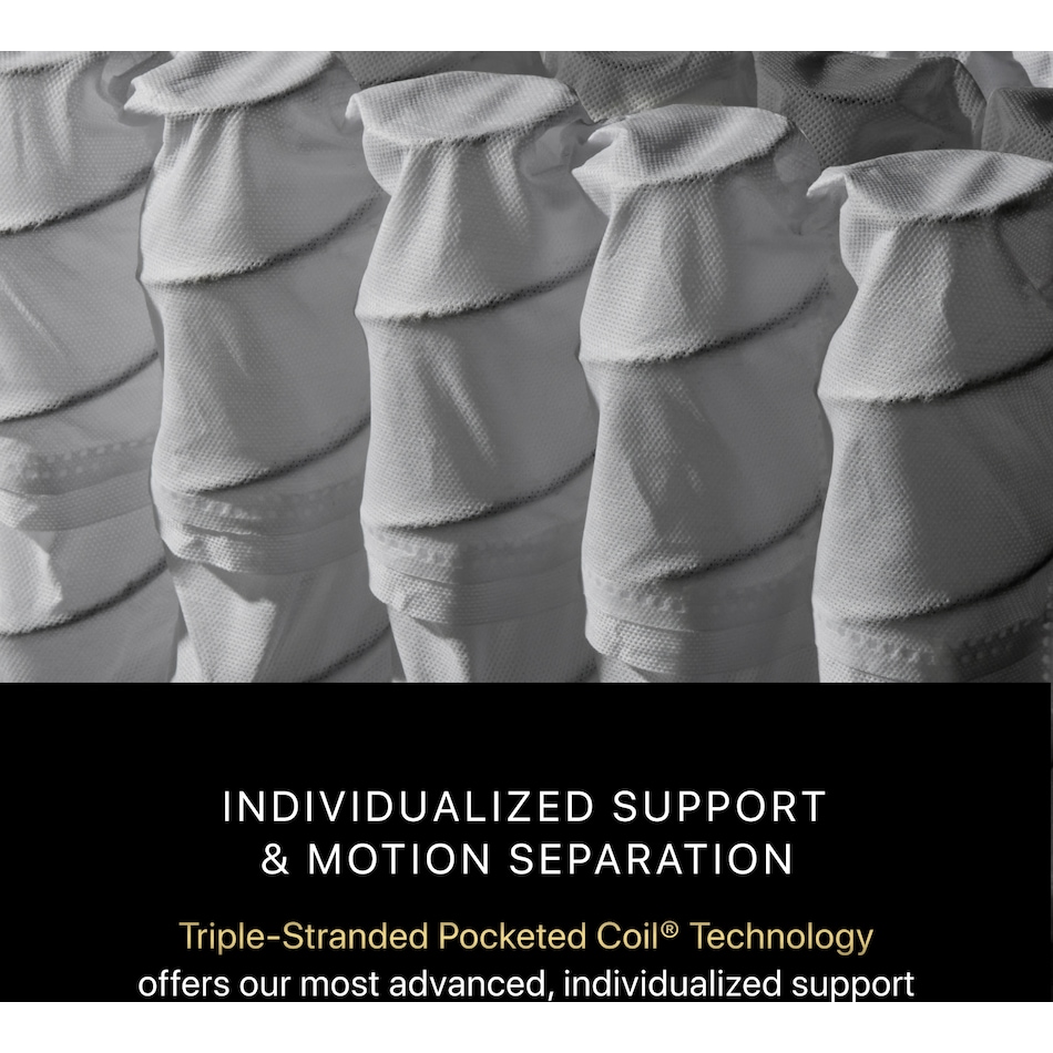 beautyrest black series  firm pt top color: black side color: black accent color: silver mattress cal king   