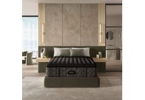 beautyrest black series  firm pt top color: black side color: black accent color: silver mattress twin xl   