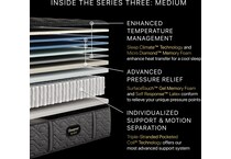 beautyrest black series  medium tt top color: black side color: black accent color: silver mattress queen   