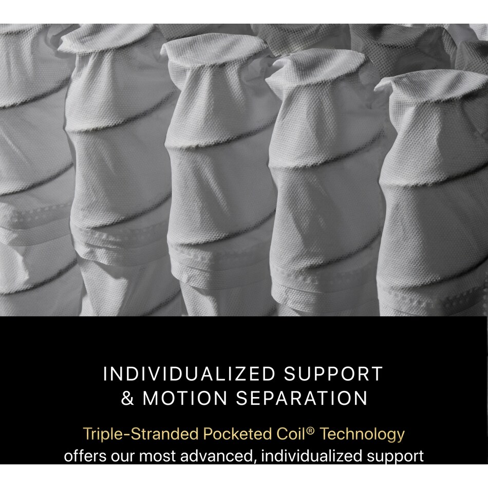 beautyrest black series  medium tt top color: black side color: black accent color: silver mattress twin xl   