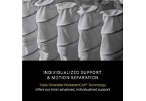 beautyrest black series  plush pt top color: black side color: black accent color: silver mattress full   