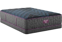 beautyrest world class level  plush tt top color: gray side color: gray accent color: purple mattress twin xl   