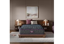 beautyrest world class level  plush tt top color: gray side color: gray accent color: purple mattress twin xl   