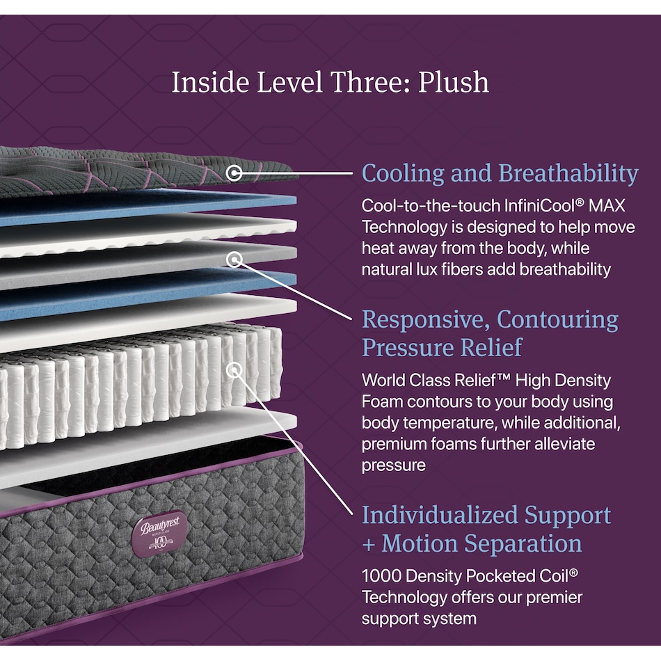 beautyrest world class level  plush tt top color: gray side color: gray accent color: purple mattress twin   