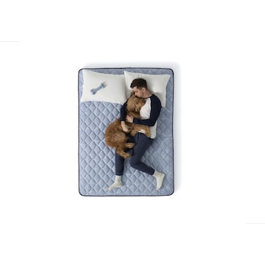 BEST DAY FIRM QUEEN MATTRESS