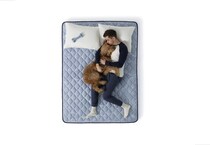 best day firm mattress twin xl   