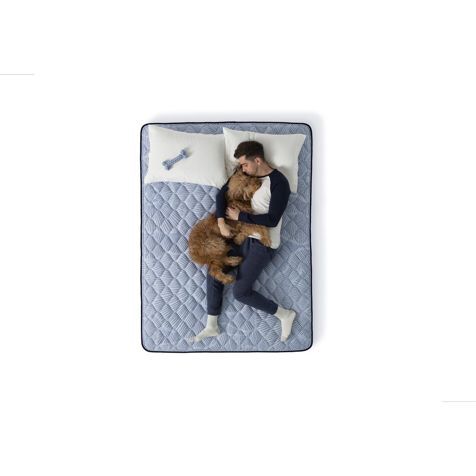best day firm mattress twin xl   