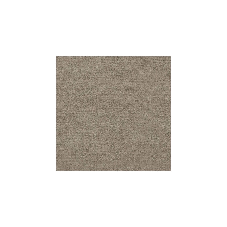 birch swatch  