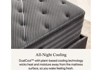 black b class plush tighttop mattress full   