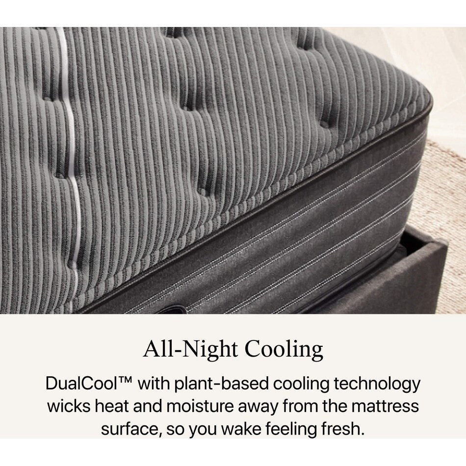 black b class plush tighttop mattress full   