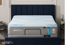 black adjustable base twin xl   