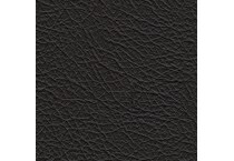 black swatch  