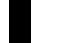 black white swatch  