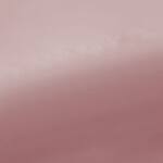 blush swatch  