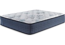 bonita springs firm white mattress queen   