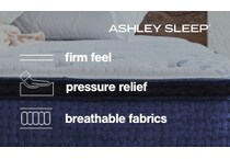 bonita springs firm white mattress queen   