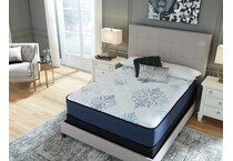bonita springs firm white mattress queen   