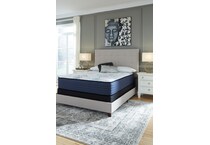 bonita springs firm white mattress queen   