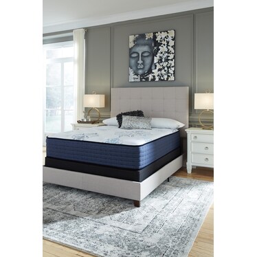 BONITA SPRINGS FIRM QUEEN MATTRESS
