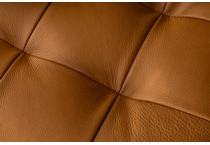 brown swatch  