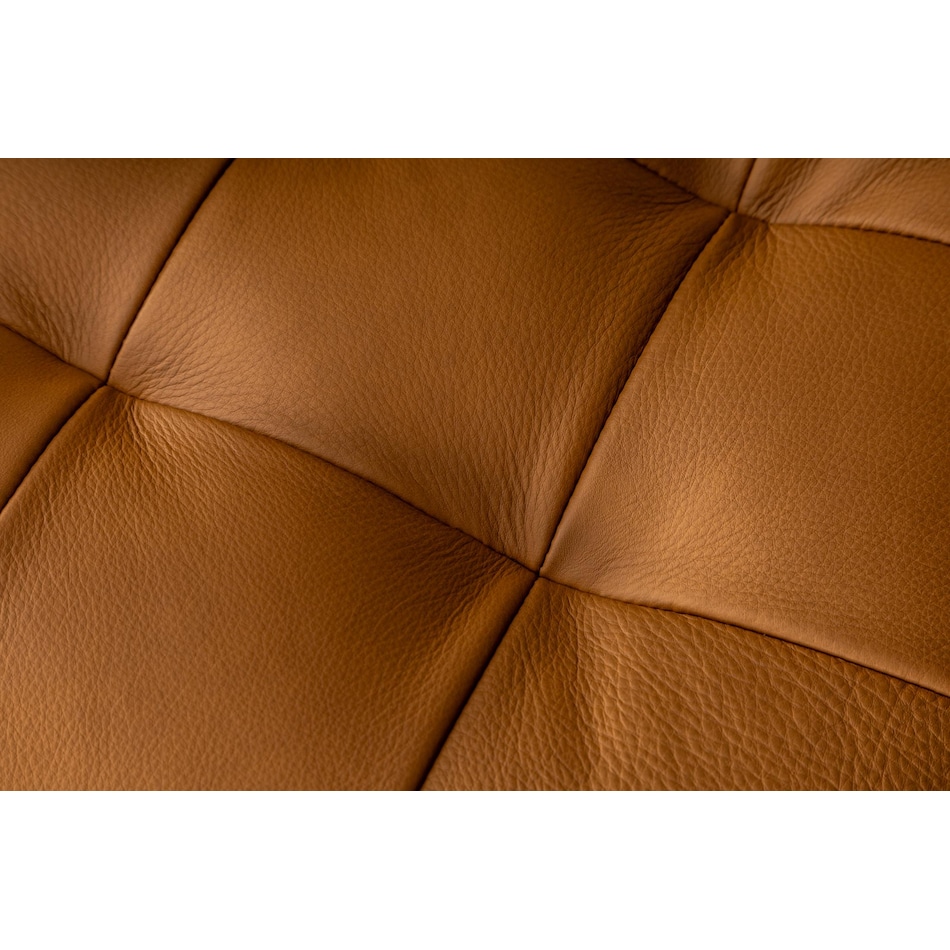 brown swatch  