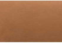 brown swatch  